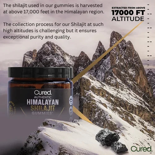 Authentic Himalayan Shilajit Gummies Sweetened With Organic Manuka Honey Flavored With Organic Blood Orange Oil & Organic Vanilla