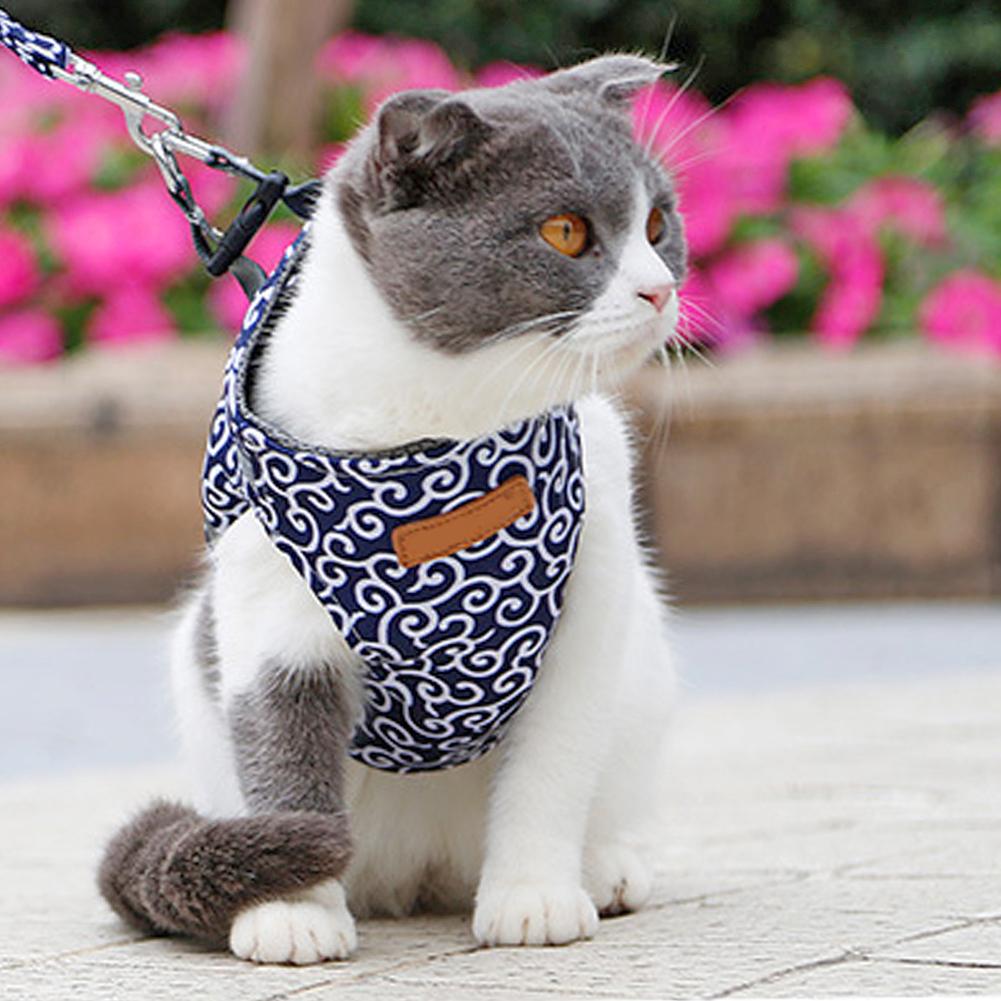 Cat Vest Harness And Leash Set To Outdoor Walking