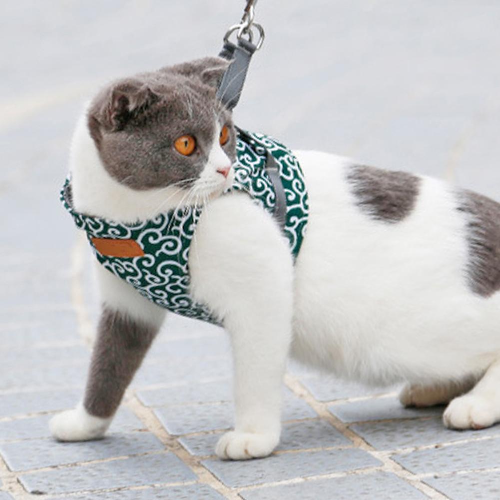 Cat Vest Harness And Leash Set To Outdoor Walking