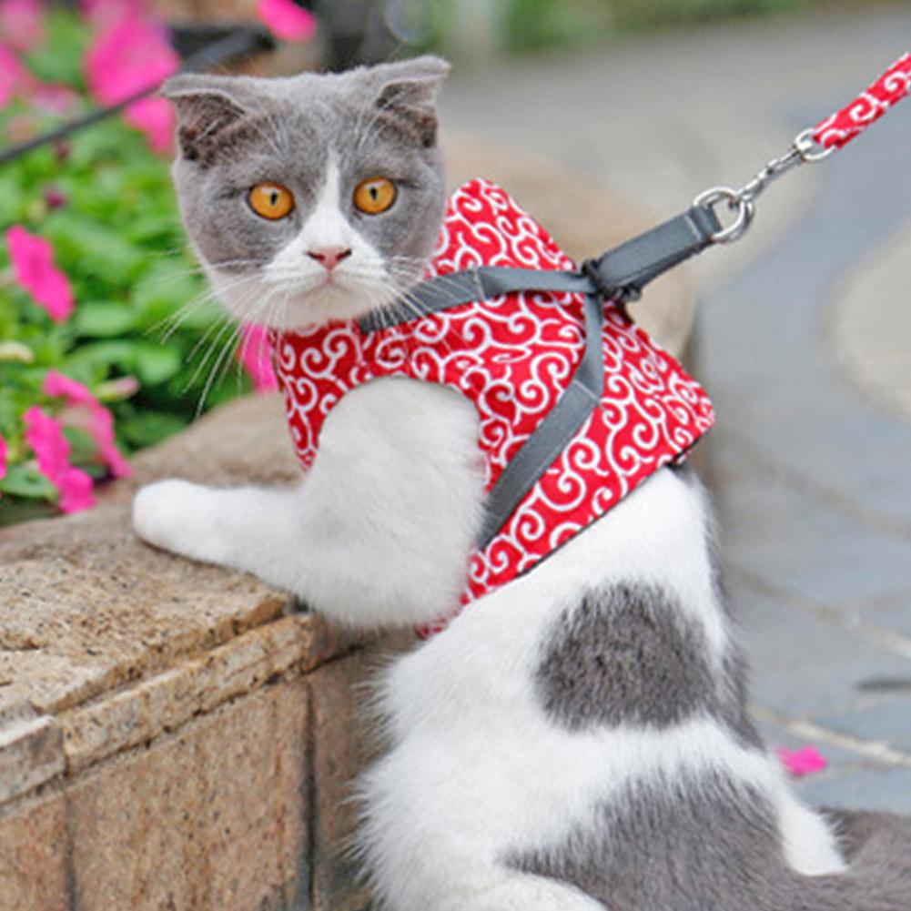 Cat Vest Harness And Leash Set To Outdoor Walking