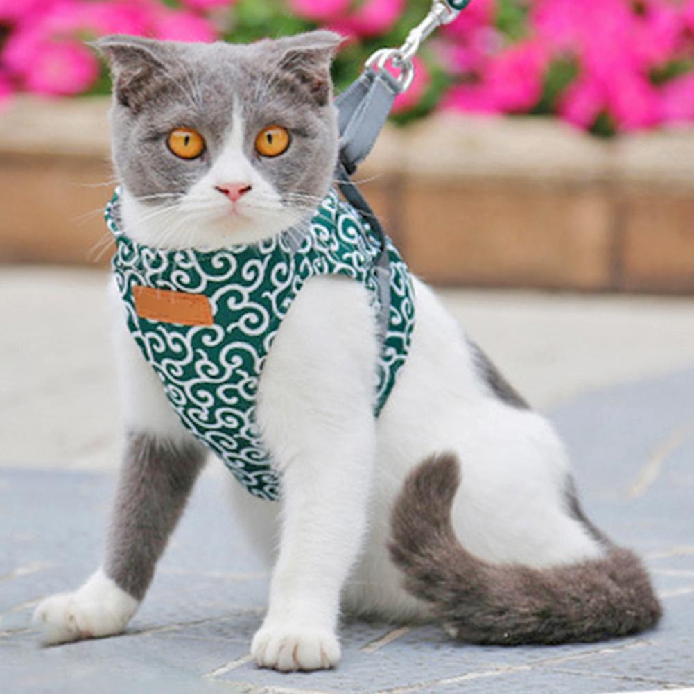 Cat Vest Harness And Leash Set To Outdoor Walking