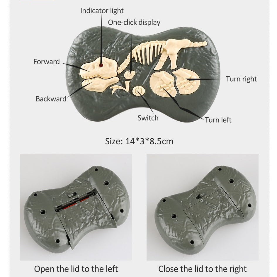 Remote Control Dinosaur Toys