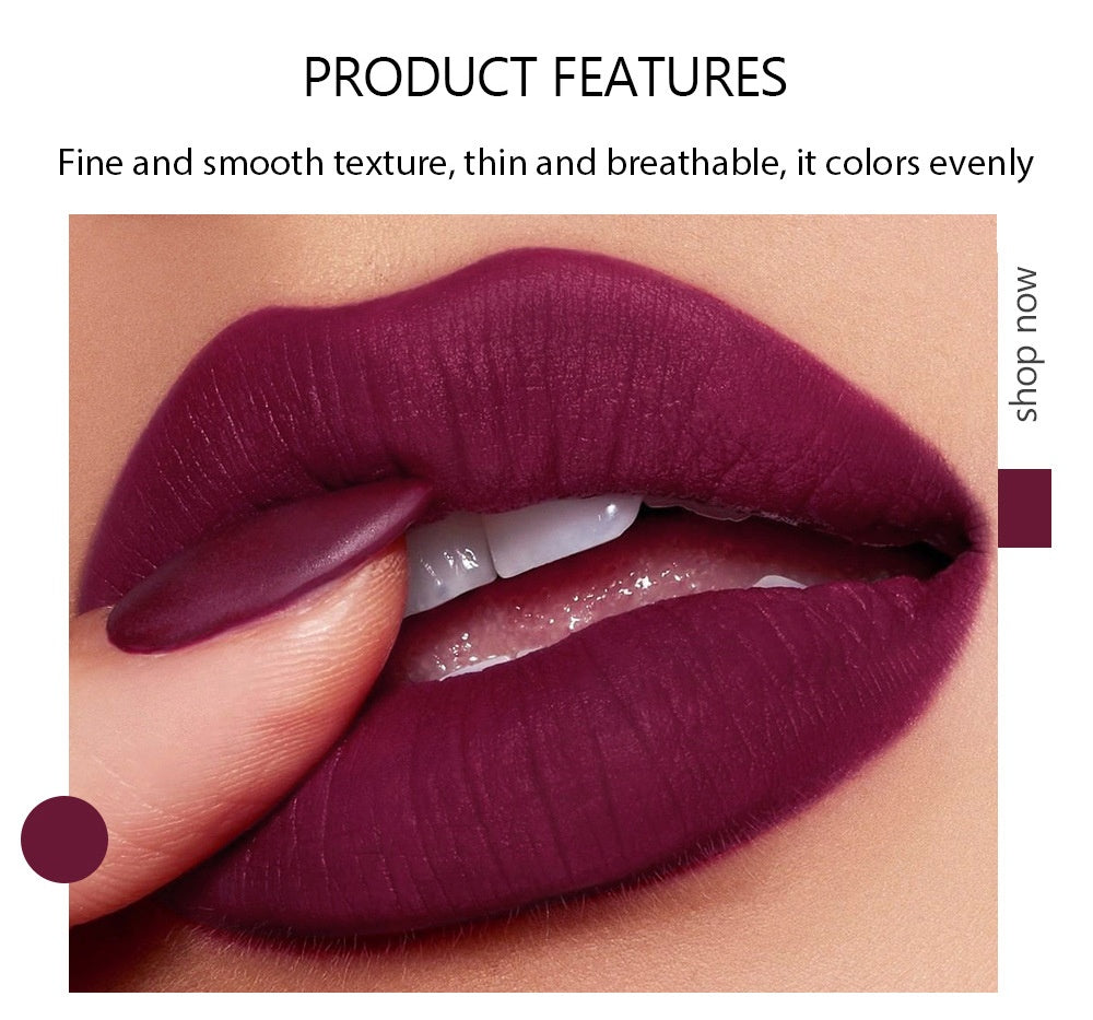 5 in 1 Velvet Matte Compact Lipstick